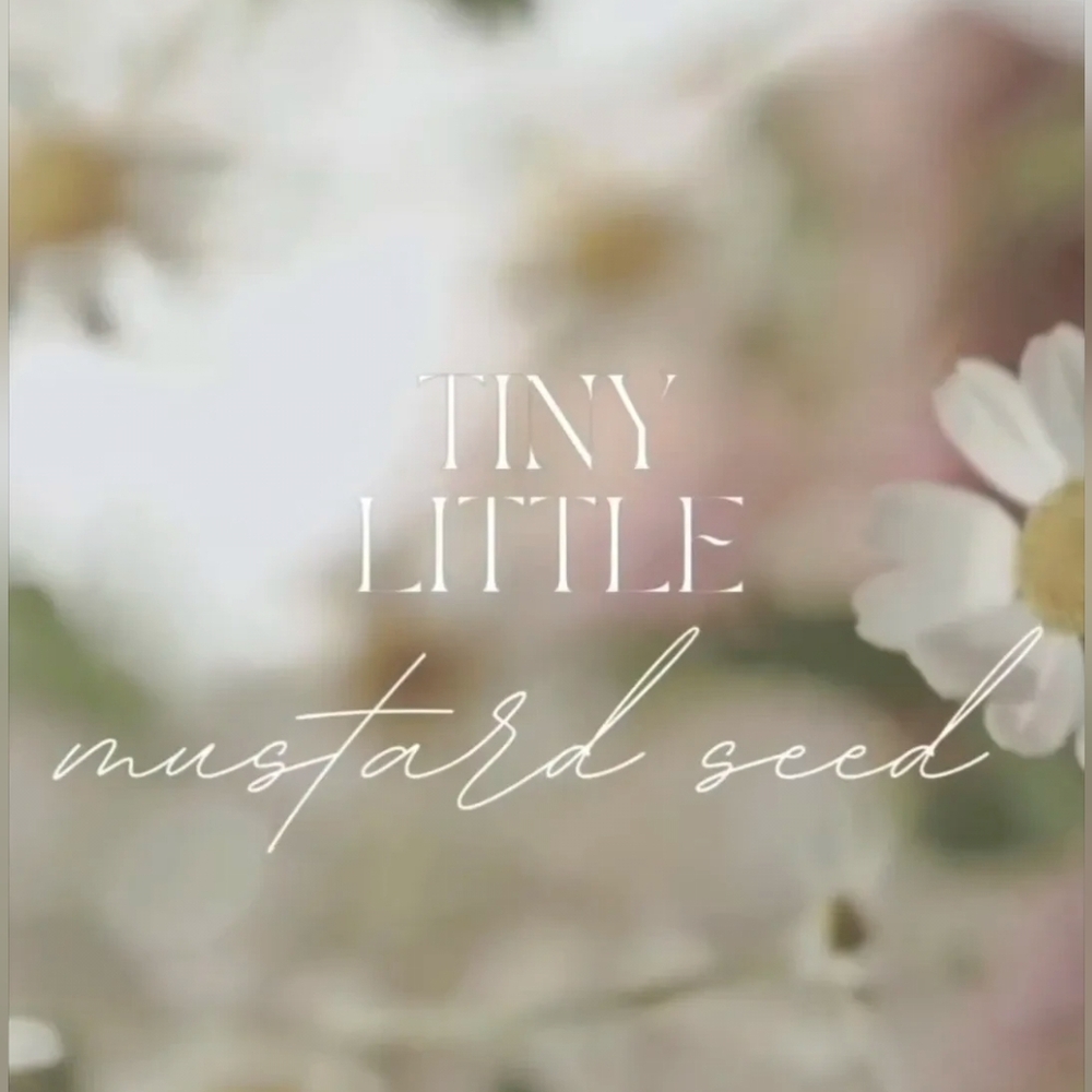 Tiny Little Mustard Seed - Picture 4 of 4